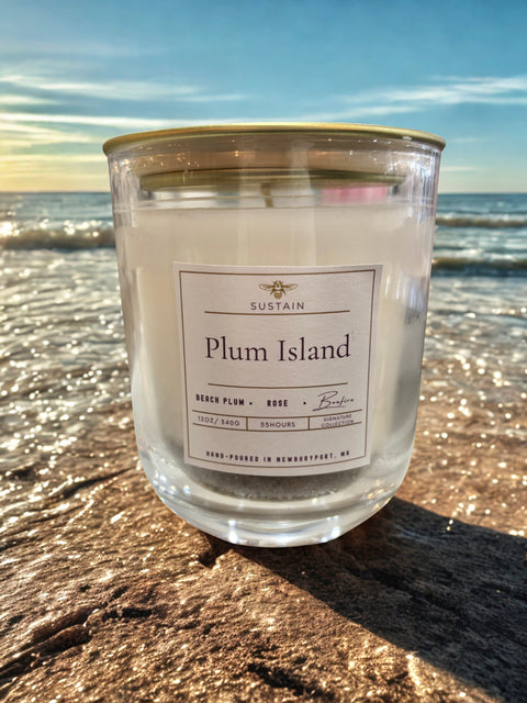 Plum Island Candle